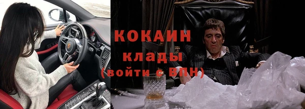 стаф Зеленокумск