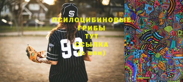 МДПВ Зерноград