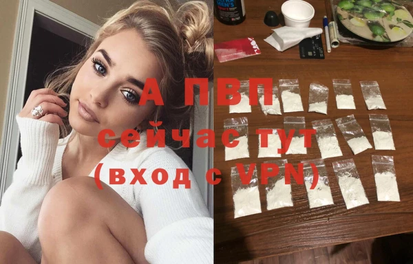 стаф Зеленокумск