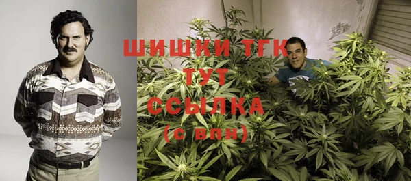 стаф Зеленокумск