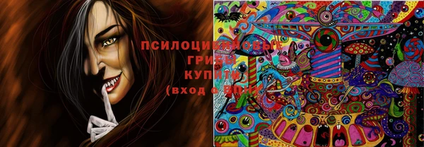 стаф Зеленокумск