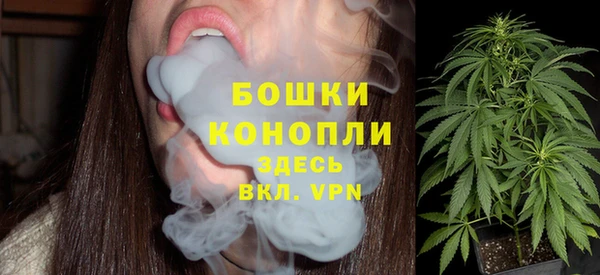 стаф Зеленокумск