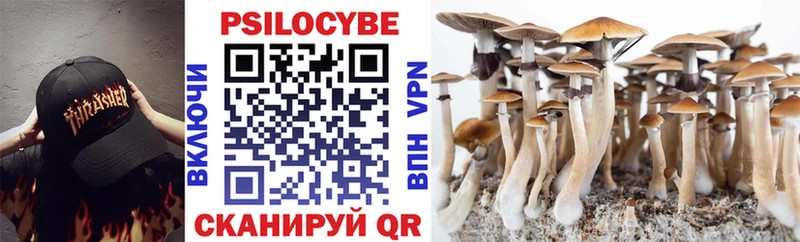 Галлюциногенные грибы мицелий  Купить  Звенигово 